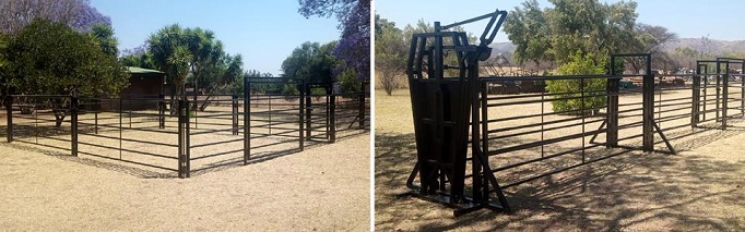 Temporary or permanent cattle kraals and chutes