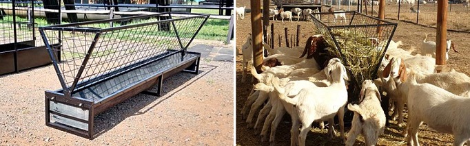 Goat groud feed trough with lucerne basket