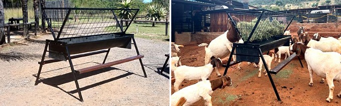Goat feed troughs with step and lucerne basket