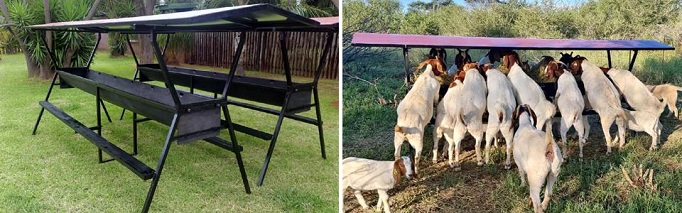 Goat feed trough with step and roof
