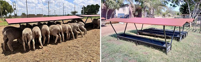 Sheep feed trough with roof stop feed getting wet when it rain