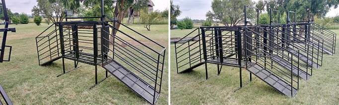 Sheep work station with or wothout loadcell scale