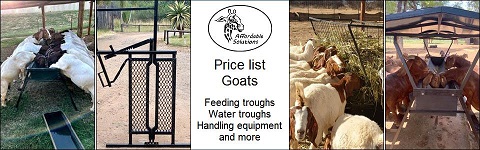 Affordable Solutions - Goat feed and water troughs and handling equipment