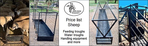 Affordable Solutions - Sheep feeding and handling equipment