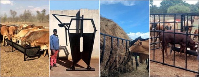 cattle calf feed water trough neck clamp kraal gate bale basket