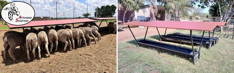 Skaap en lam voer bakke trog met dakke