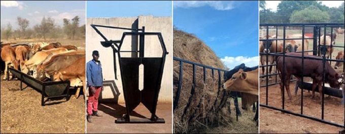 Bees - kalf - kraal - nek klampe - voerbak - voer bakke - water krippe - kruipvoer - baal ringe