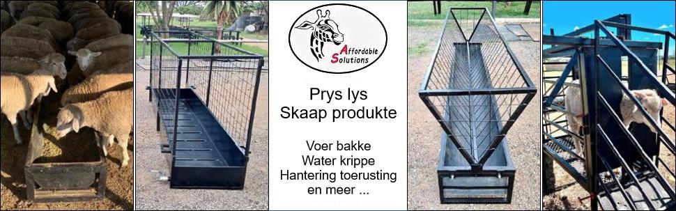 Skaap, lam, lammers, voerbak, voerbakke, voer, trog, krip, krippe, bak, bakke, nek, kop, klamp, kruipvoer, kruip, voer, hek, hekke, kraal, krale, gly, skuif, hantering, werk, stasie